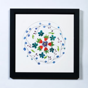 Strawberries and Surprises, Pen and ink drawing by Rachel Tinniswood