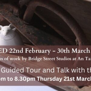 Shed - evening guided tour and talk with the artists
